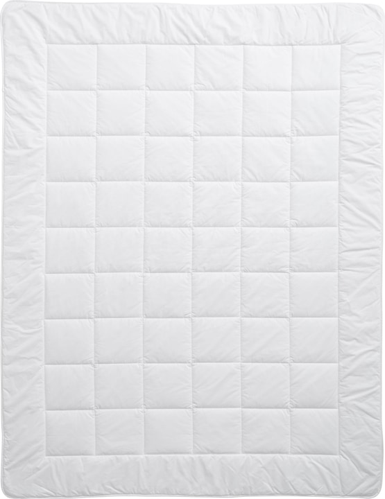 Billerbeck Bamboo Uno (1280 g, 160 x 210 cm)