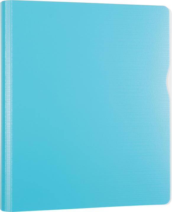 Actual product image Idena Ring binder A4 sky blue 40mm 2 rings (A4, 40 mm, 1 Piece)