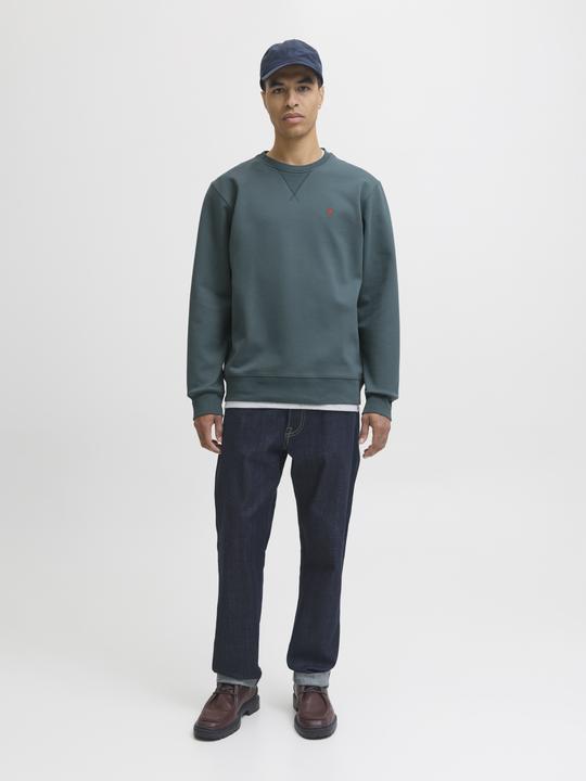 Actual product image Jack & Jones RDD Gedruckt Sweatshirt Sweatshirt (M)