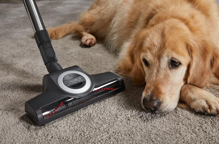 Produktbild Miele Compact C2 Cat & Dog PowerLine