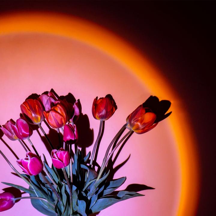Actual product image Casativo LED sunset