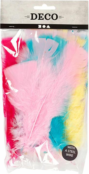 Actual product image Creativ Company Feathers with wire (turkey)