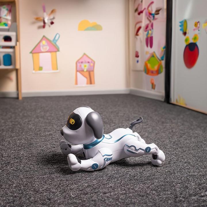 Actual product image Maxlife Hund MXRD-100