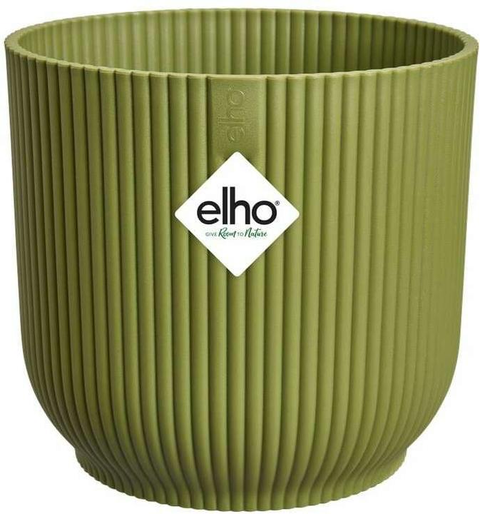 Green, vert lointain