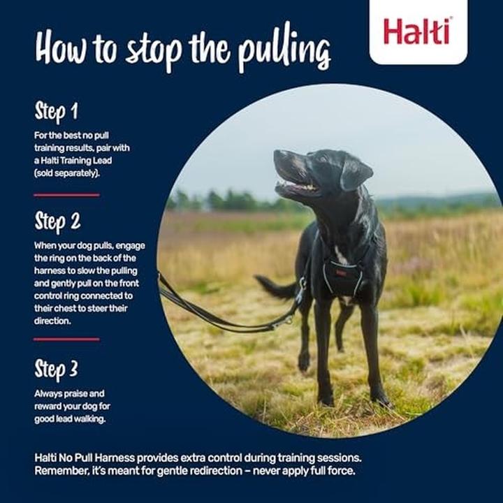 Image du produit Halti Vert forêt (12, Chien, Général)