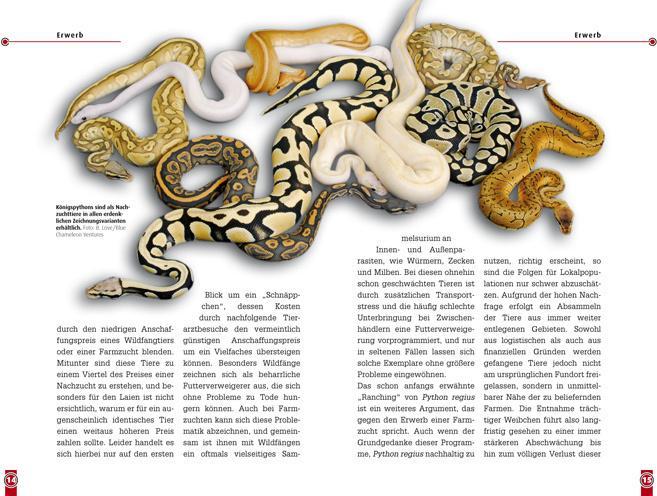 Produktbild Der Königspython (Deutsch, René Bonke, 2023)