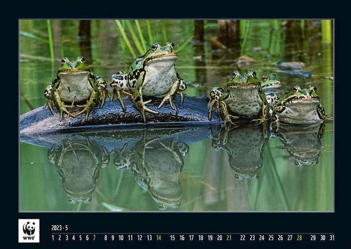 Produktbild Simplex WWF Wandkalender 2023 (48.5 x 34 cm)