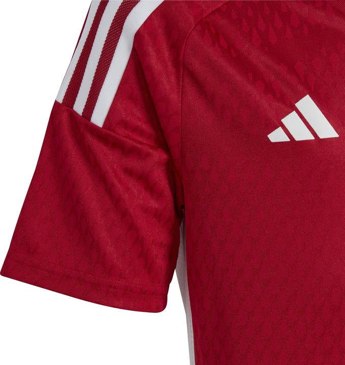 Produktbild adidas Tiro 23 Club Trikot Kinder (164)
