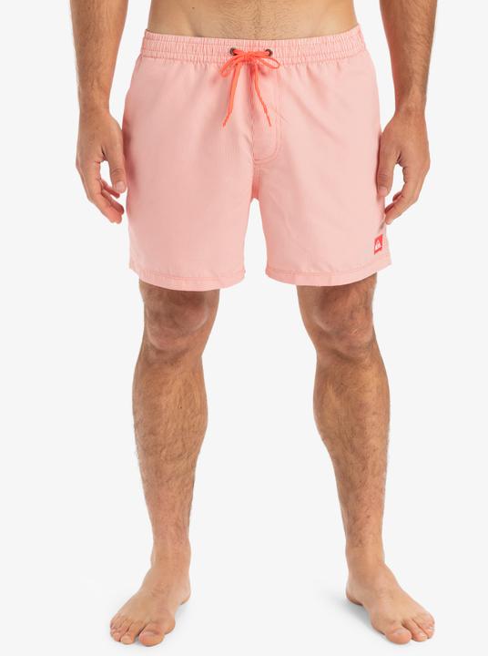 Image du produit Quiksilver Everyday Deluxe Volley 15 (L)