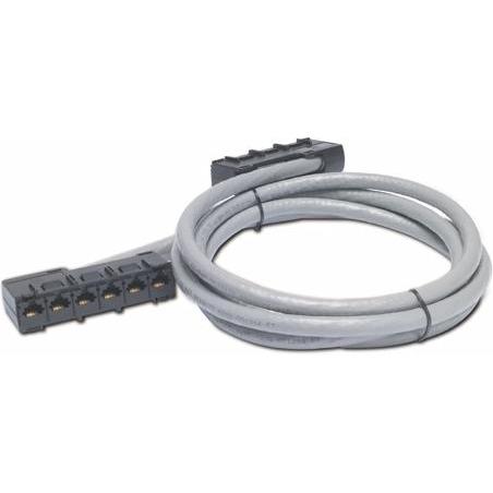 APC Data Distribution Kabel CAT5e UTP CMR Gray 6xRJ-45 Jack bis 6xRJ-45 Jack 63ft 192m (U/UTP, CAT5e, 19.20 m), Netzwerk...