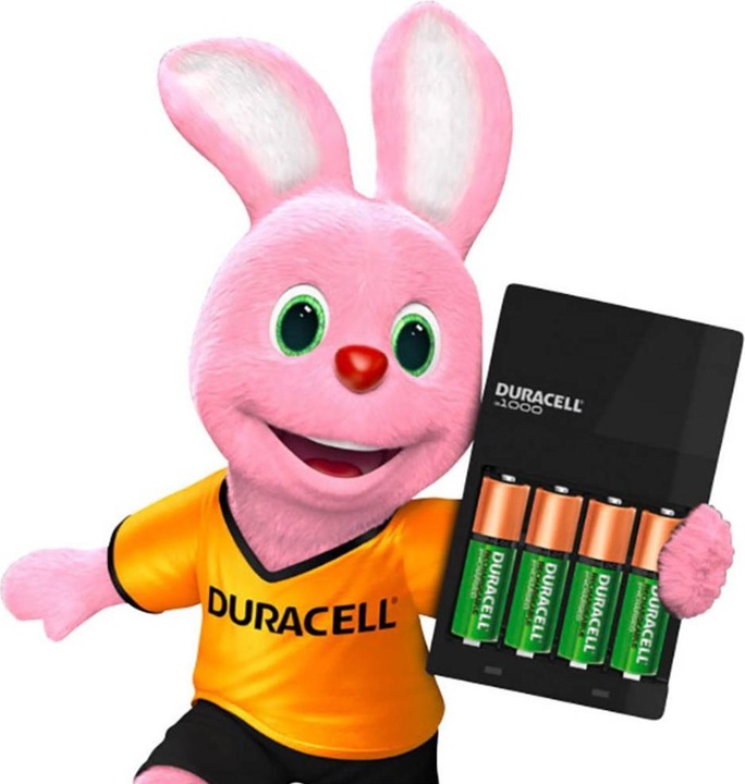 Image du produit Duracell Chargeur économique à grande vitesse, y compris 2x AA et 2x AAA (4 pcs, AA, AAA, 1300 mAh, Piles rechargeables + chargeur)