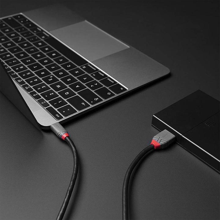 Actual product image Lindy USB 3.2 Type C to Micro-B Cable, Anthra Line (0.50 m)