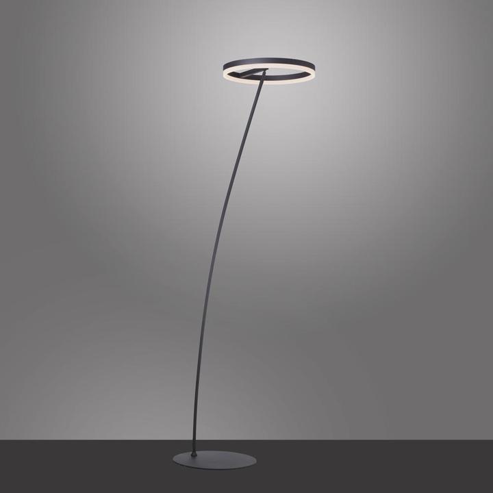 Image du produit Paul Neuhaus Titus (770 lm)