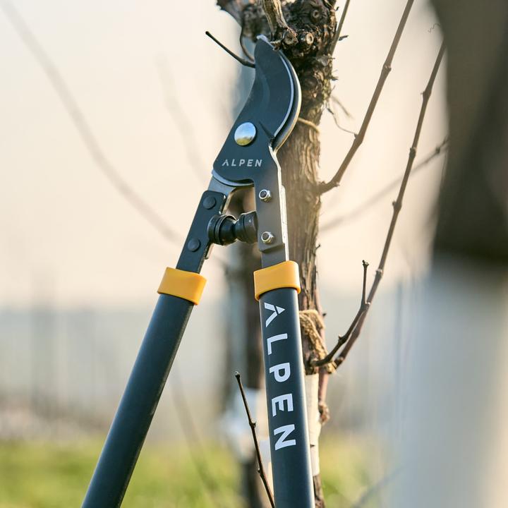 Productafbeelding Alpen Swiss Tools Alpen WEISSHORN 260 takkenschaar