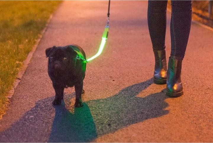 Actual product image Ancol Dog Leash Signal Clothing (1, Dog)