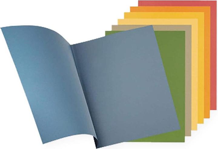 Actual product image Falken File collector (A4, 1x)