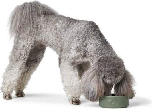Produktbild Hunter Dogbowl ceramic Osby 350 ml, taupe - (68983) (35 cl)