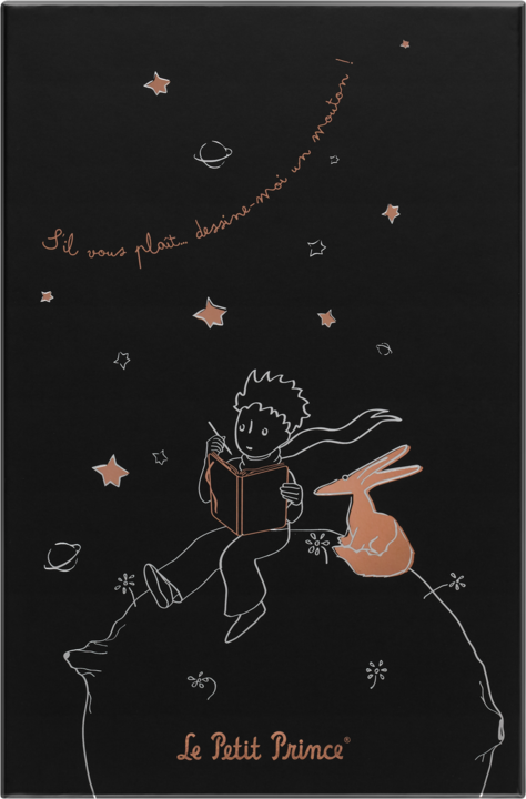 Actual product image Moleskine The Little Prince (130 x 210 mm, Lined, Hardcover)
