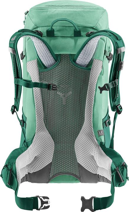 Actual product image Deuter Futura 30 (30 l)