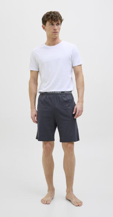 Produktbild Jack & Jones Regular Fit Shorts Shorts (L)