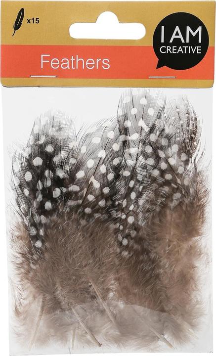 Actual product image I Am Creative Decorative feathers