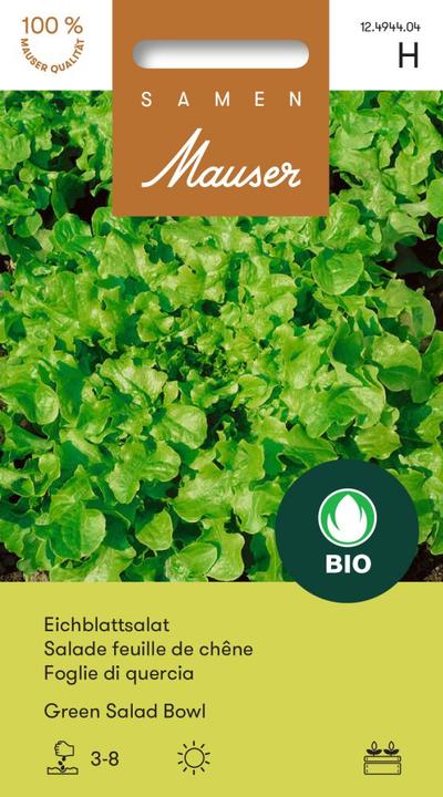 Produktbild Samen Mauser Knospe Bio Eichblatt Green Salad Bowl (Gemüsesamen)