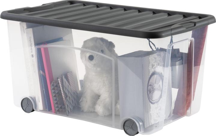 Produktbild Rotho Ventilo (38 cm, 50 l, 1x)