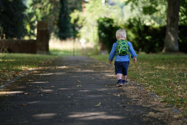 Produktbild Littlelife Schildkröte