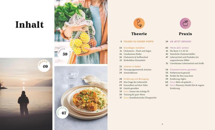Actual product image Cholesterin senken (German, Aloys Berg, Andrea Stensitzky-Thielemans, Daniel King, 2024)