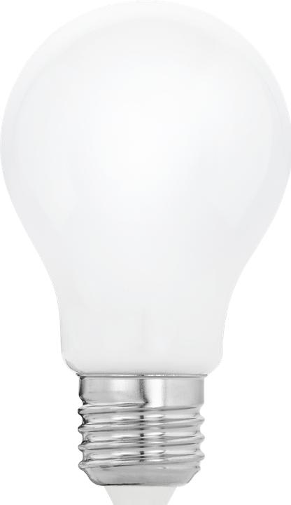 Actual product image EGLO Illuminant LED E27 (E27, 806 lm, 48x)