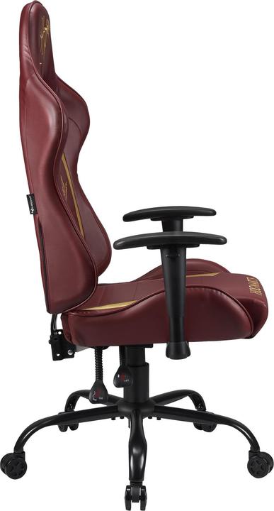 Immagine prodotto Subsonic Sedile da gioco Pro Harry Potter