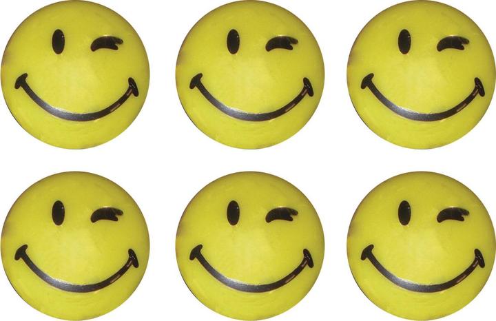Actual product image Franken Magnets smilies (6 x)