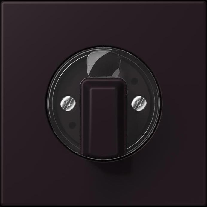 Actual product image JUNG Cover