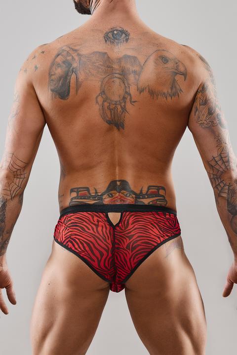 Actual product image Regnes Fetish Planet Men's briefs (M)