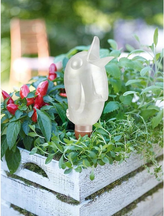 Image du produit Scheurich Bördy XL (Cône d'argile Irrigation)