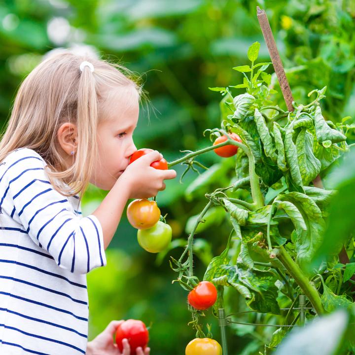 Actual product image Relaxdays 6x climbing support (18 cm, 18 cm)