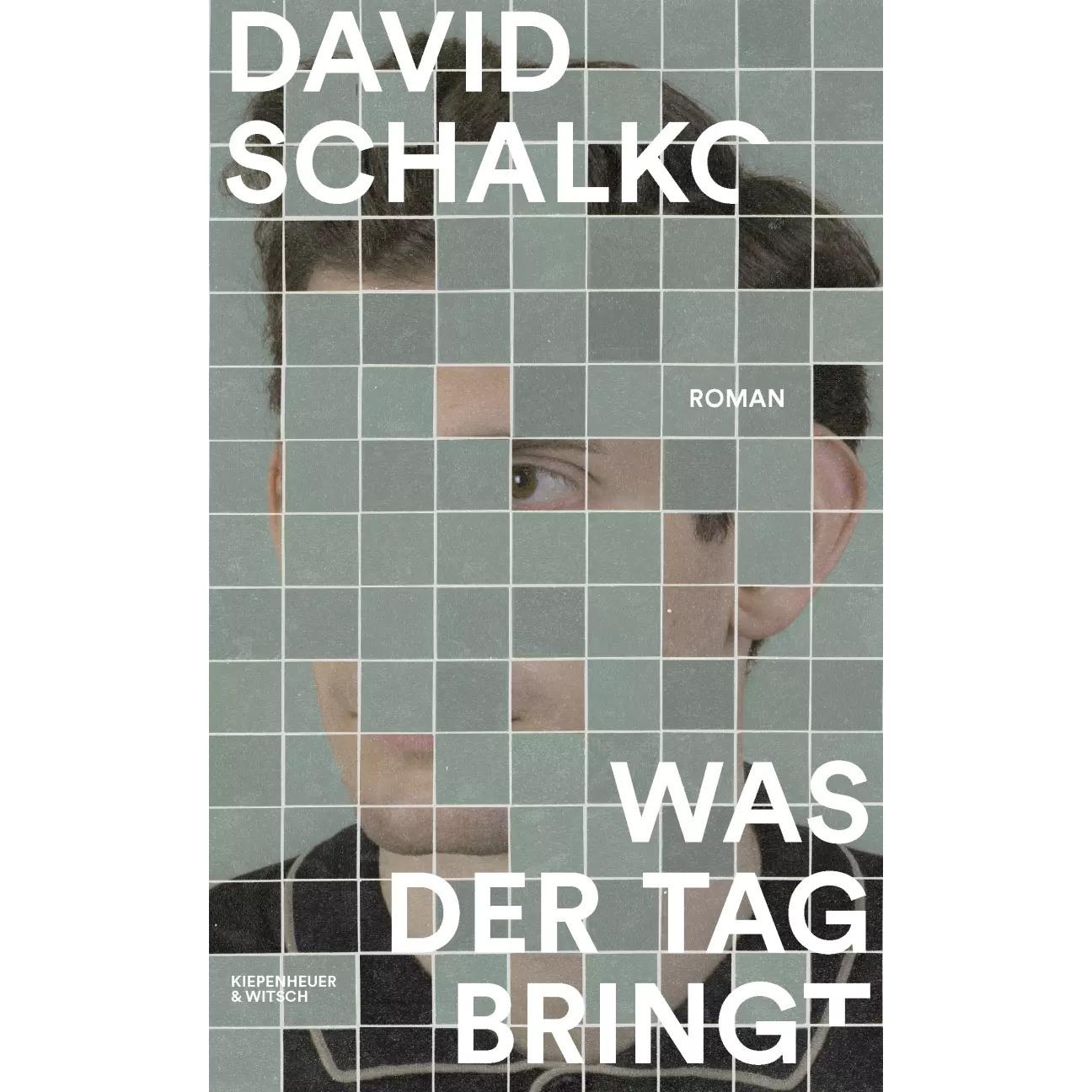 Was der Tag bringt, Belletristik von David Schalko