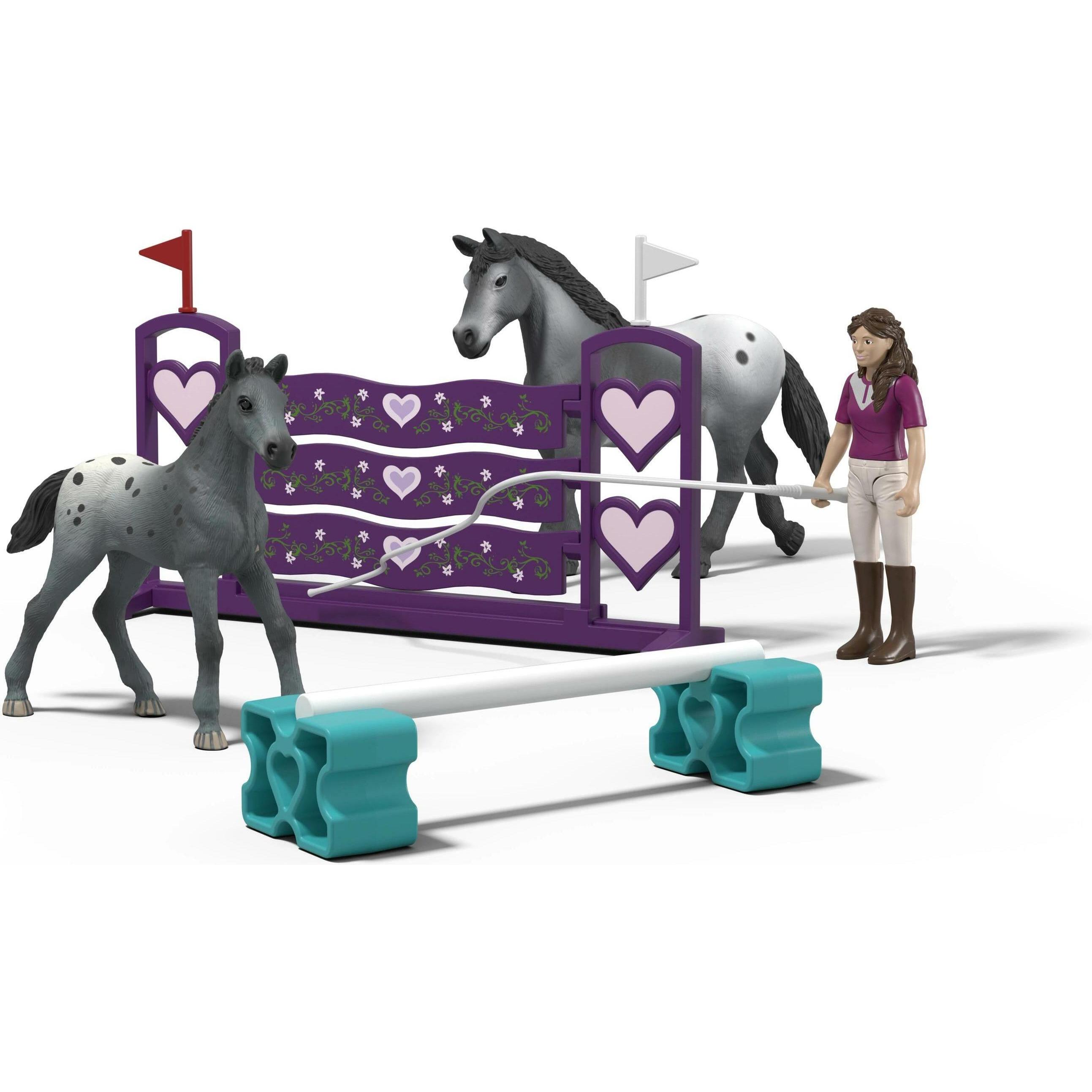 Schmidt Spiele Lisa's Tournament Training