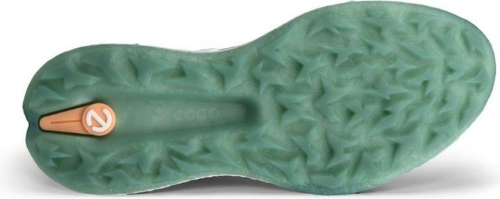 Actual product image Ecco Biom H5 Golfschuh Damen (38)