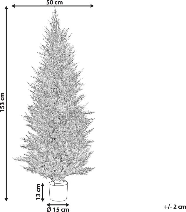 Immagine prodotto Beliani Cedar Tree (153 cm)