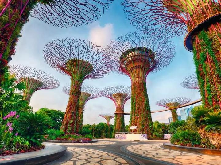 Actual product image Ravensburger Puzzle 12001396 - Garden by the Bay at Singapore - 1500 piece jigsaw puzzle for adults (1500 pieces)