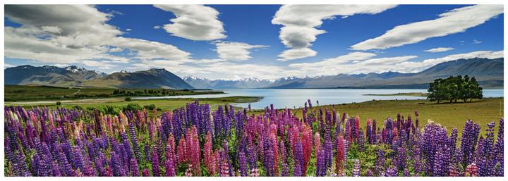 Immagine prodotto Heye Lago Tekapo (1000 pezzi)