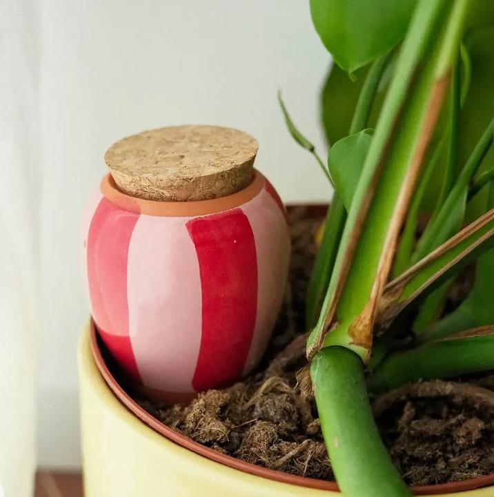 Image du produit Pepin Olla (Cône d'argile)