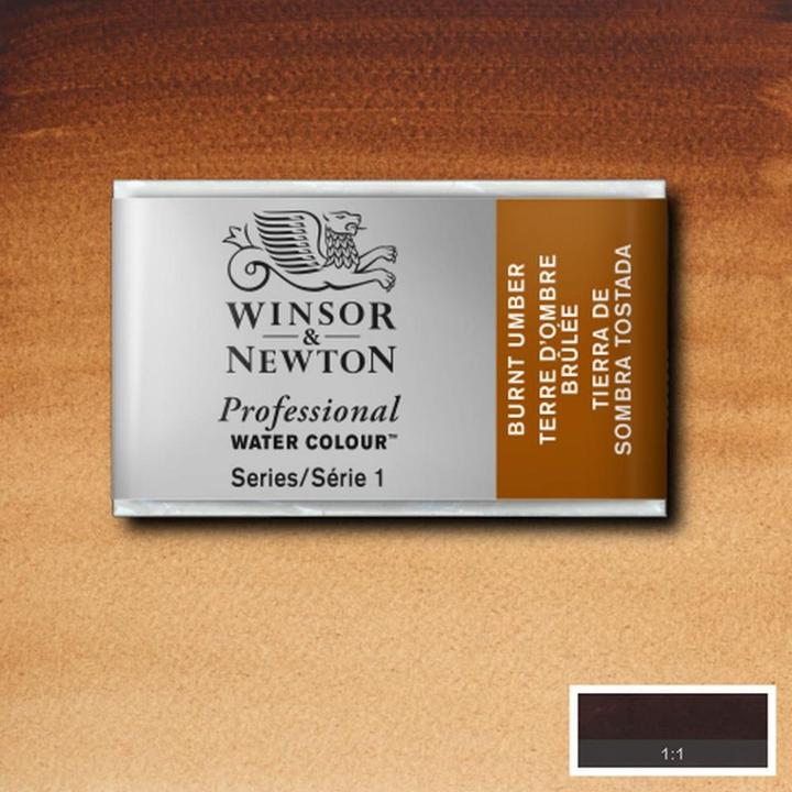 Actual product image Winsor & Newton Watercolour Artists (Burnt umber)