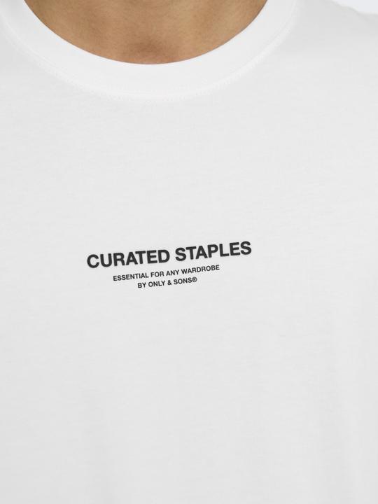Produktbild Only & Sons Onscurated Rlx Print Ss Tee Noos (XL)