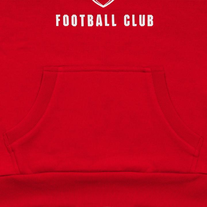 Image du produit Arsenal FC - Sweat à capuche - Garçon (122)