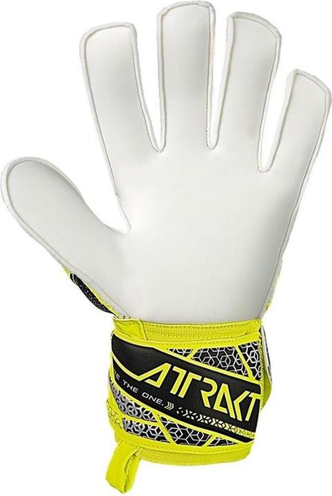 Produktbild Reusch Attrakt Solid Torwarthandschuhe (9.5)