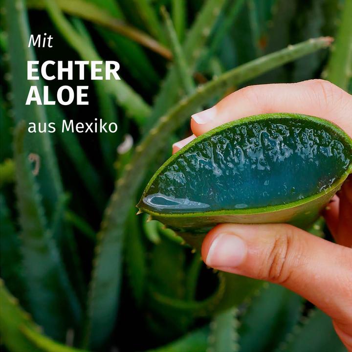 Produktbild Herbal Essences Feuchtigkeits mit Aloe (250 ml)