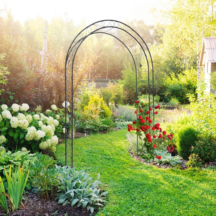 Productafbeelding Relaxdays Rozenboog (36.50 cm, 144 cm)