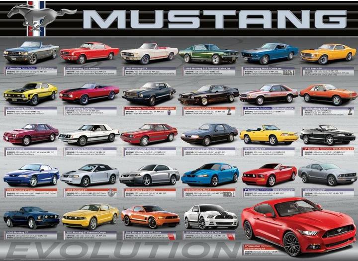 Produktbild Eurographics Ford Mustang Evolution (1000 Teile)